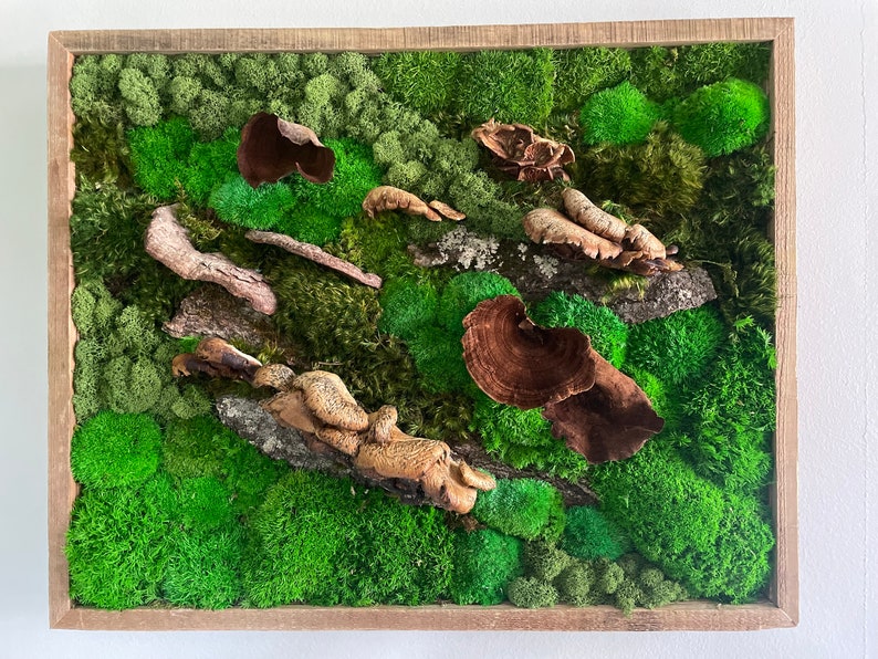 Moss Art Moss Moss Wall Art Moss Wall Preserved Moss Art Etsy