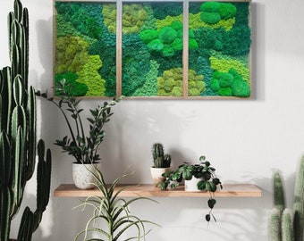 Moss art Moss wall Moss decor Christmas present Gift Home decor