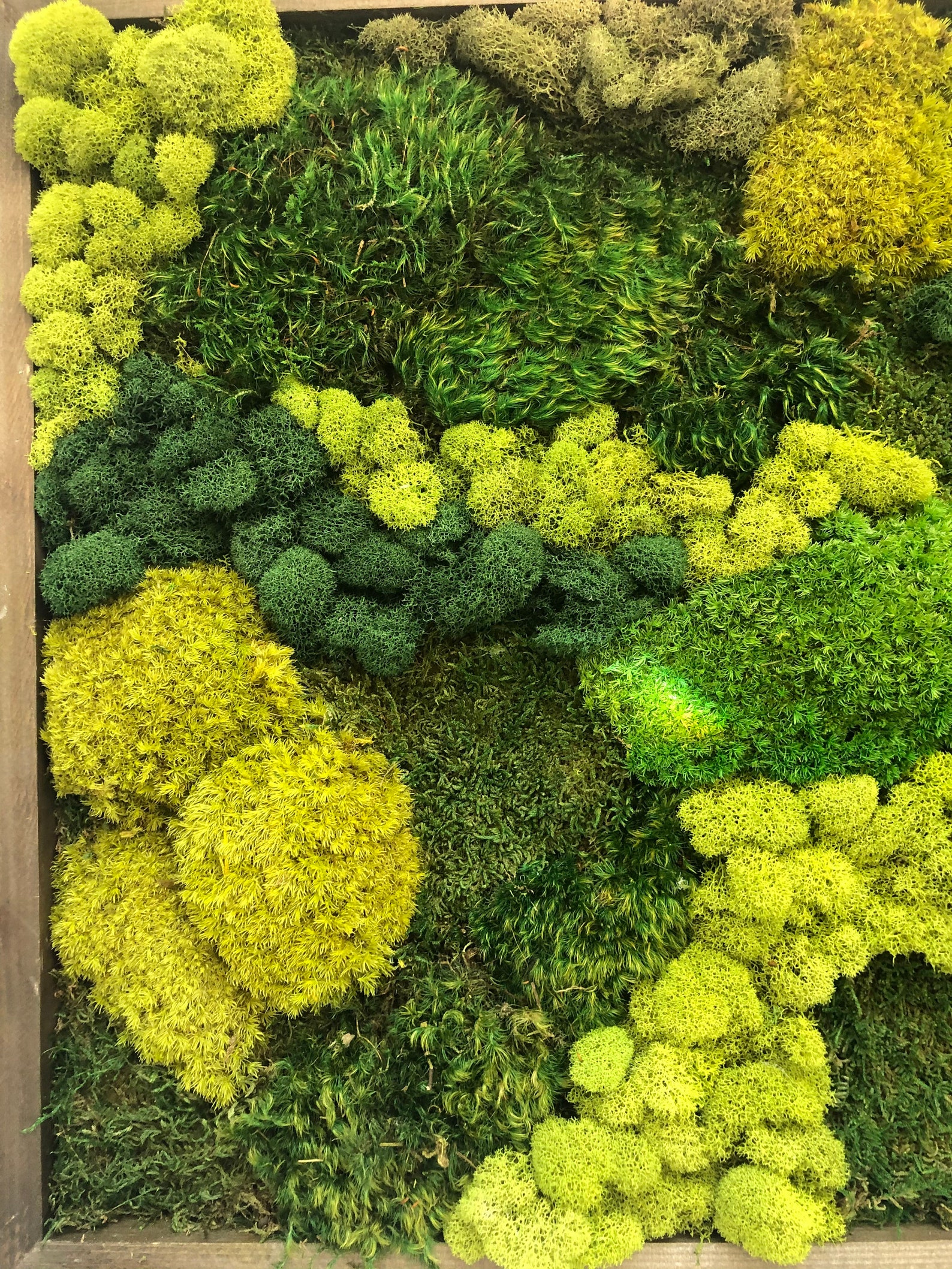 Moss Art Real Preserved moss wall art Moss home decor Real | Etsy