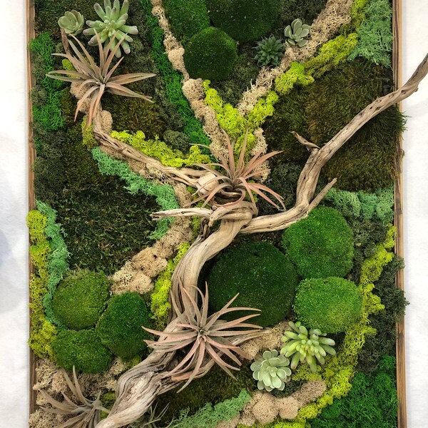 Moss Wall Art, Moss Art, Deadwood Moss Home Decor, Faux succulents wall art, Moss wall art, Preserved moss home decor, Real Preserved Moss