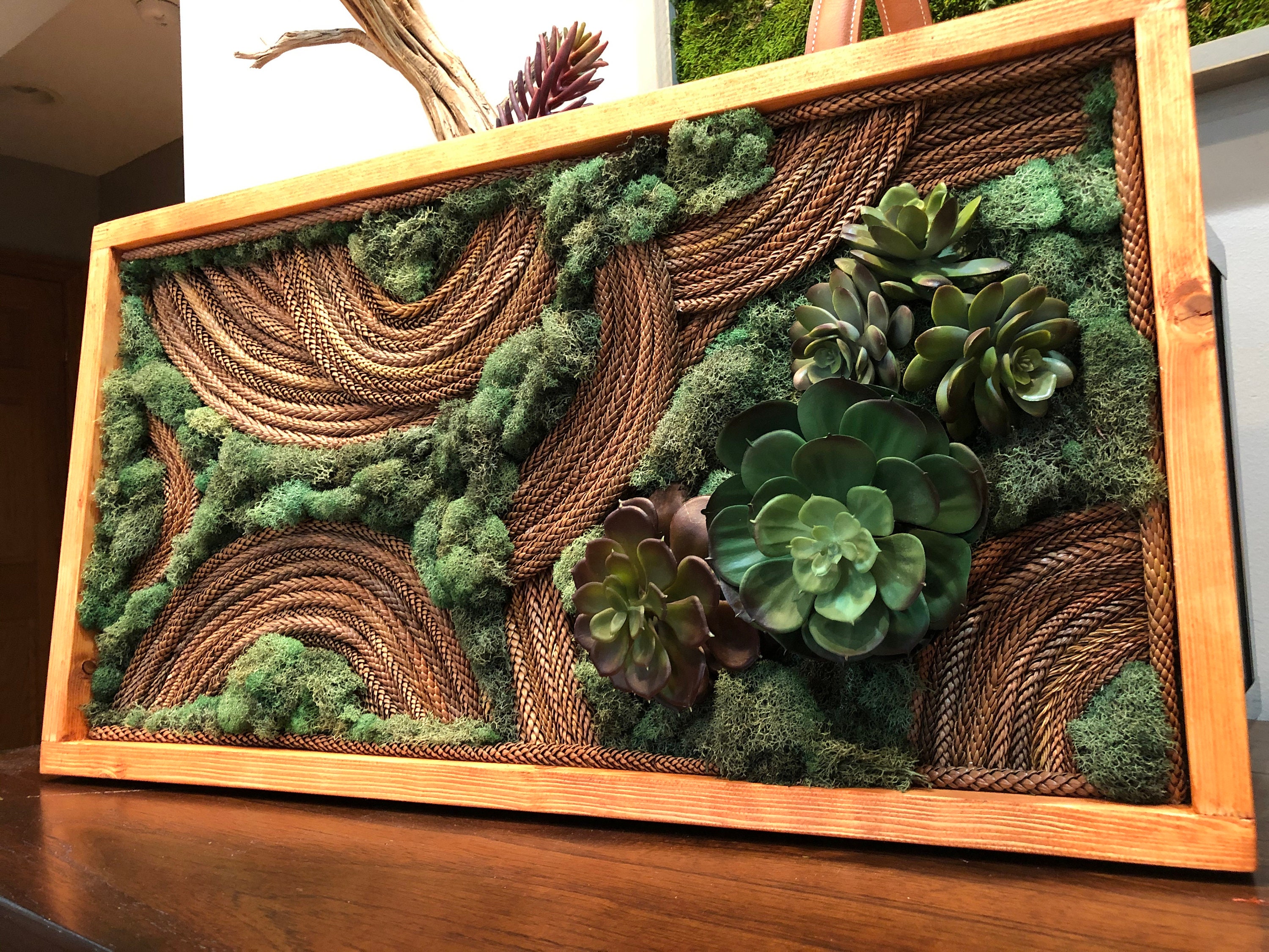 Moss Art Moss Wall Art Succulents Wall Decor Preserved Moss Etsy Hong Kong