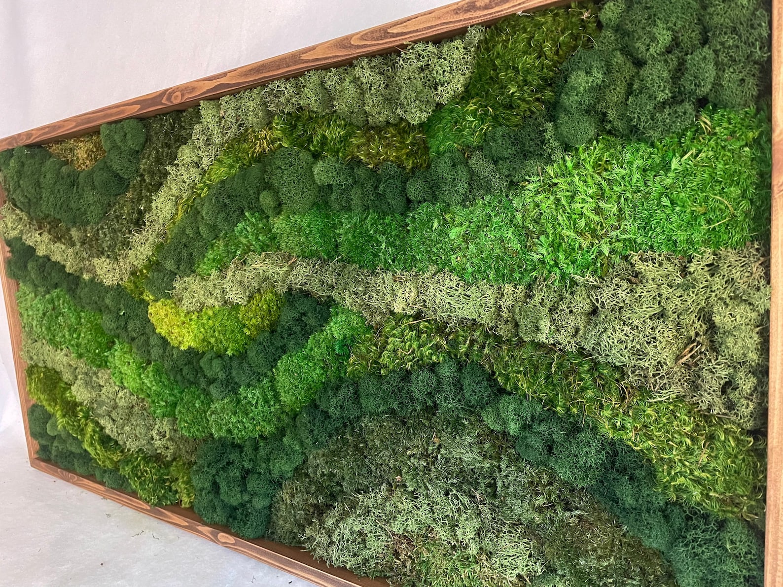Preserved Moss Wall Art: Real Moss Home Decor, No Care - Etsy