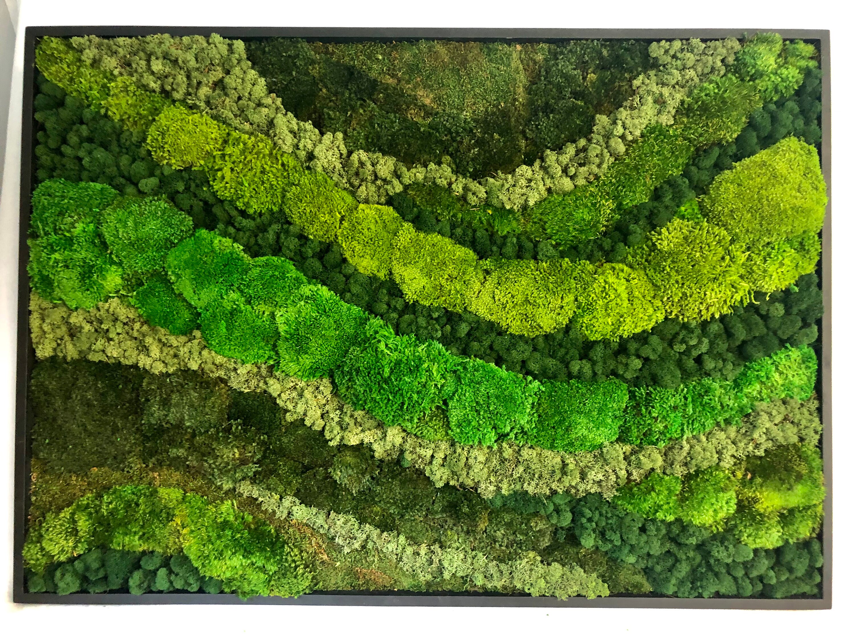 Moss Art Real Preserved moss wall art Moss home decor Real Etsy