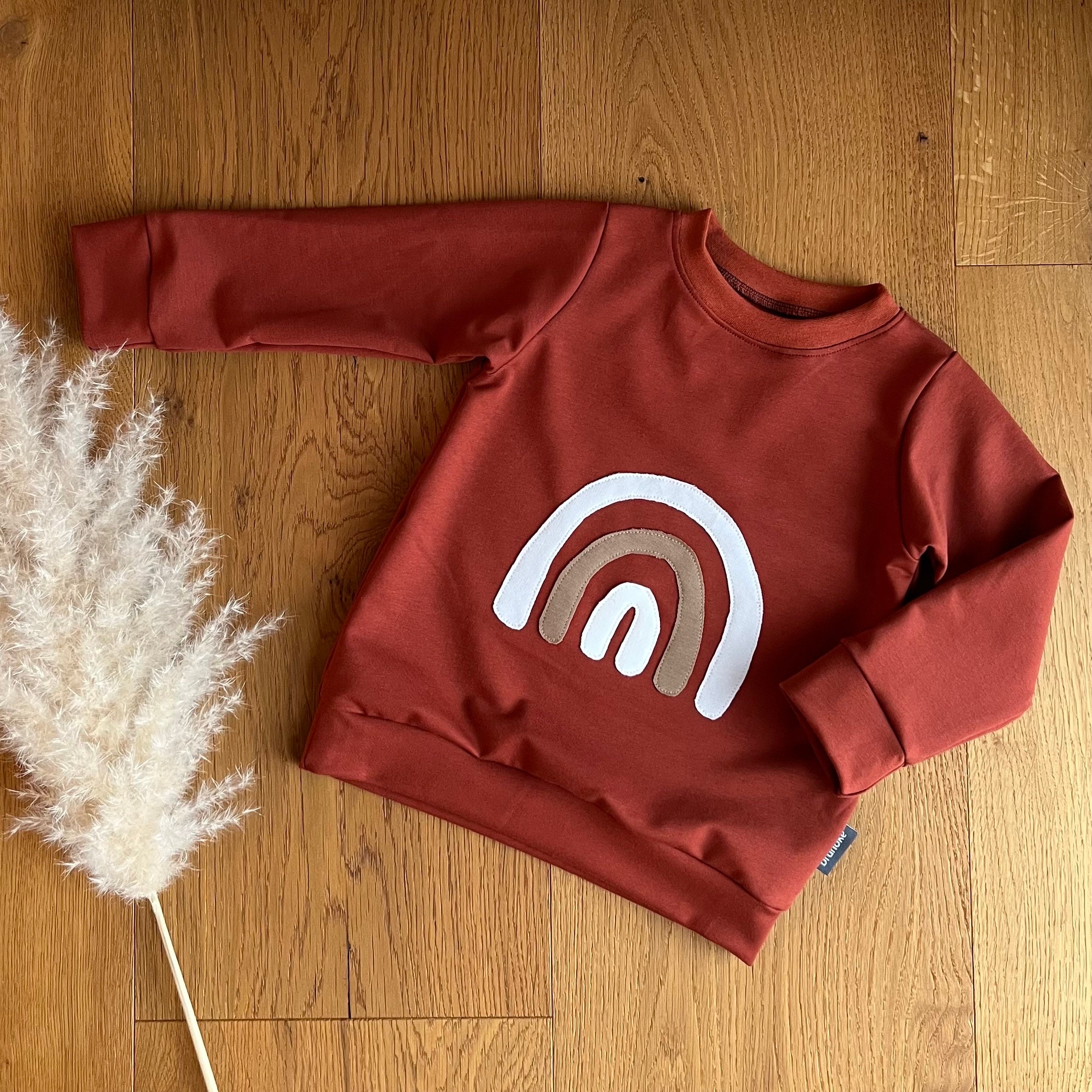 Baby Sweatshirt in Rusty Red With Rainbow Patch Shirt Sweatshirt