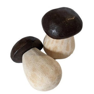 Porcini mushroom hand carved wooden shop vegetables