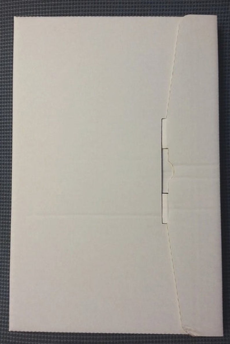 Shipping Bagscarton piece only 0.25 40 St