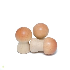 Wooden Play Food yellow boletus