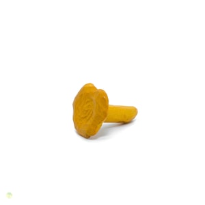 Chanterelle, handcarved grocery items