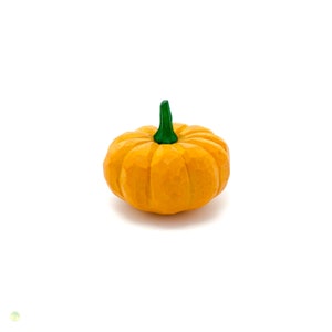 Könnte beinhalten: Ein kleiner, orangefarbener Kürbis mit einem grünen Stiel. Der Kürbis ist glatt und hat eine leicht unebene Textur.