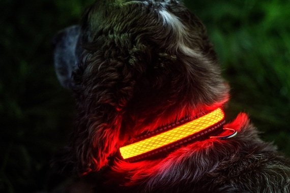 High Quality Pink Illuminated Apparel Rechargeable LED Light Up Dog Pet Collar