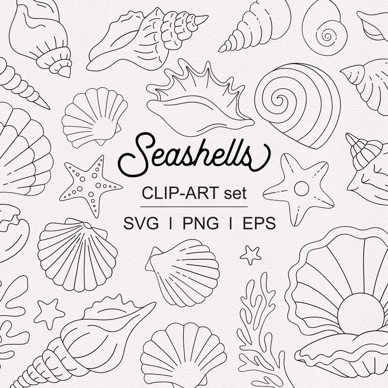 Shelline Svg Seashell Svg - Etsy