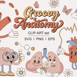 Groovy Retro Menschliches Organ Anatomie Herz Gehirn Lunge Leber Magen Niere Charakter Gesundheit Doktor medizinisch Clipart gesetzt PNG SVG digitaler Download