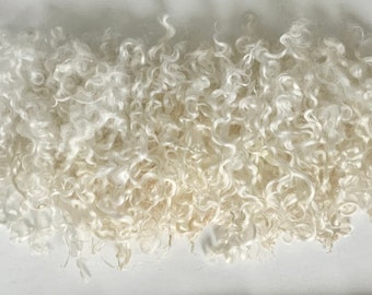 30g (340Euro/kg) WENSLEYDALE LAMM Locken  Puppenhaar Natur weiss creme Elfe Fee Jahreszeitentisch filzen Filzwolle