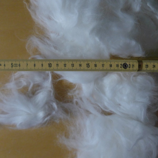 50 g (14 Euro/100 g) ANGORA (-Kanin) Crude fiber Crude wool white as shorn felting Spiders Carding