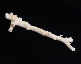 Natural Italian Angelskin Coral
