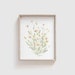 see more listings in the Watercolor Flowers section