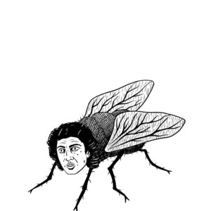 May include: Black and white line drawing of a fly with a human face. The fly has detailed wings and legs.