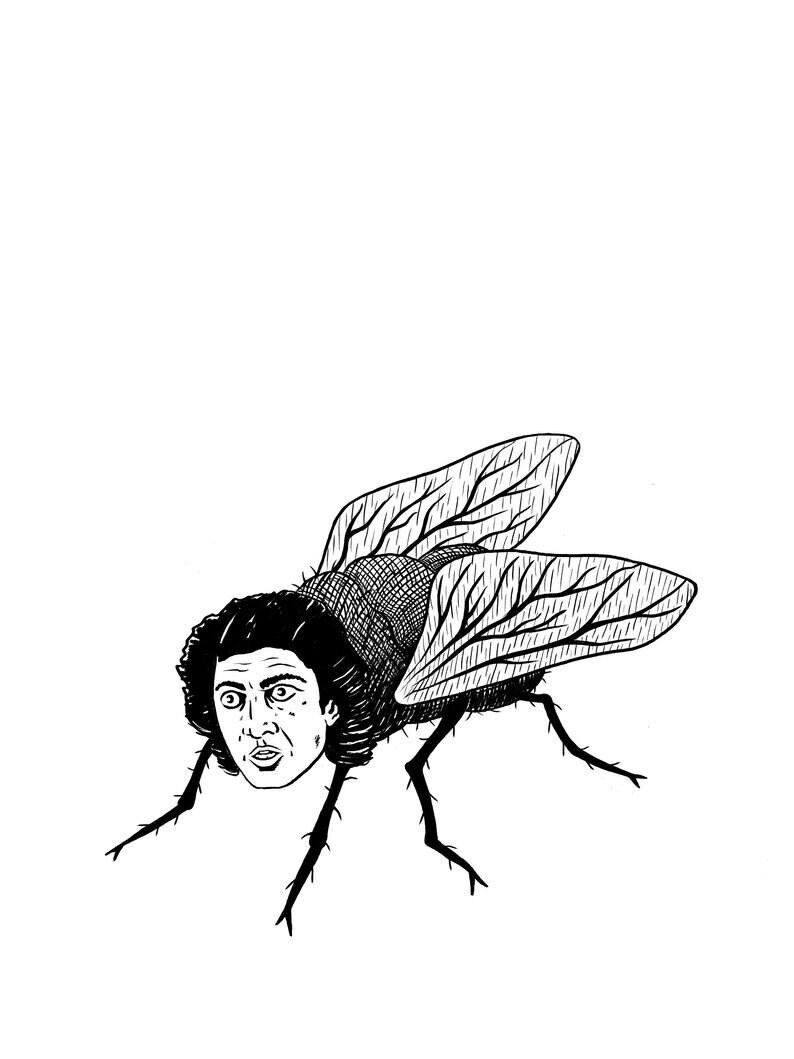 May include: Black and white line drawing of a fly with a human face. The fly has detailed wings and legs.