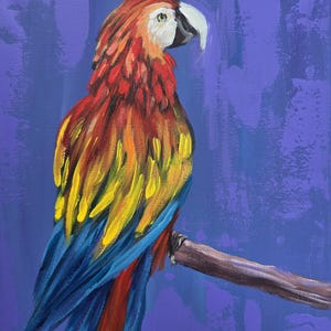 Papegaai | Acrylschilderij | Handgeschilderd | Impressionisme papegaaien | Portret papegaai ara| Vogelschilderij| Vogelcollectie