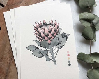 South African Flowers I Postcards I Illustration I Gift Cards