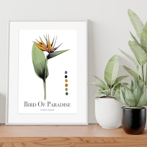 Bird of Paradise I Süd Afrika Blume I Poster I Print I A4