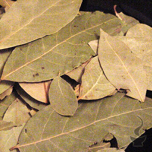 Laurel Leaves Bay Leaves — Incense Traders