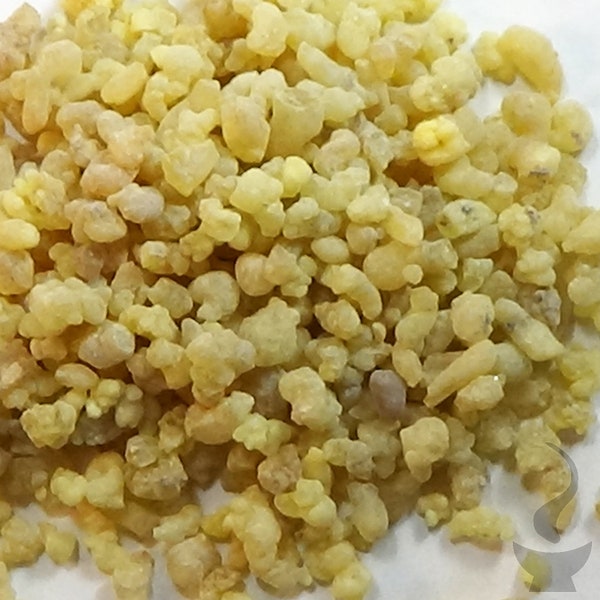 Ethiopian Frankincense |  Boswellia papyrifera | Olibanum Frank Incense Loose Resin Gum 1oz