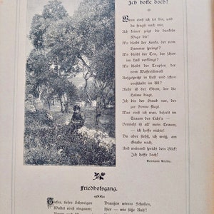 Romantischer Gedichtband zur Konfirmation, 1903 antik, Poesie, Jugendstil, Zeichnungen Bild 9