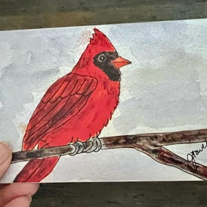 カーディナル水彩画カード、鳥愛好家カード、手描きのプリント、鳥の水彩画カード、鳥カード