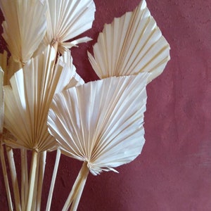 Cinq lances de palmier blanchies, lances de paume, feuilles de palmier séchées, palmiers séchés, décor floral blanc, décor de mariage, palmiers blancs tropicaux