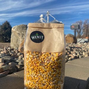 May include: A clear plastic bag filled with yellow corn kernels. The bag is sealed with a brown paper top and a circular label that reads "WENDT FARMS". The background features a blue sky and a rocky landscape.