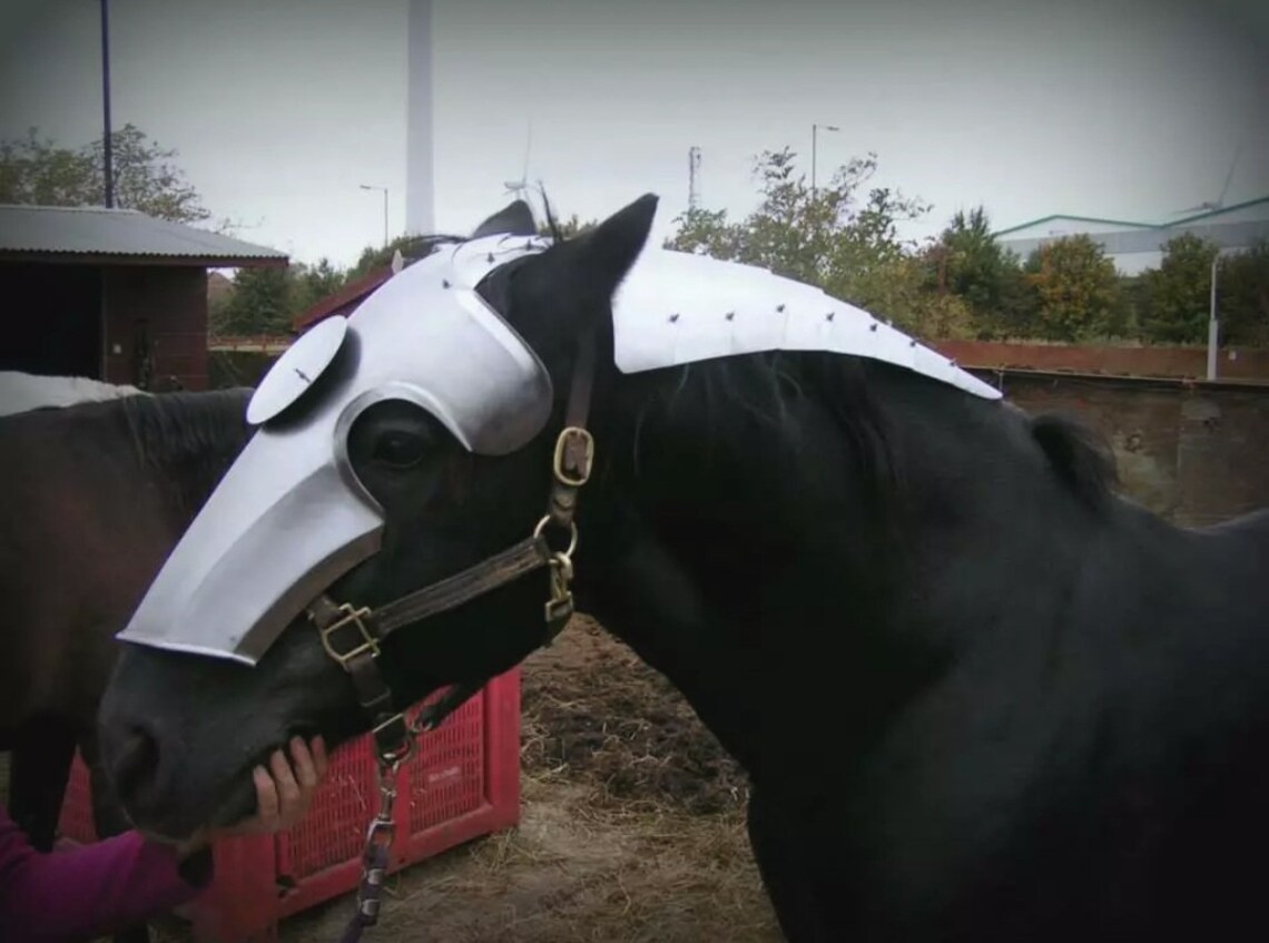 Jousting Horse Armor Medieval Combat Horse Head Protecting Etsy
