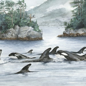 Broughton Archipelago Orcas: Print of Original Watercolor Painting, Ocean Animals, Sea life, Orca, Outdoors, Orcas, Nursery, Whale, Trees.