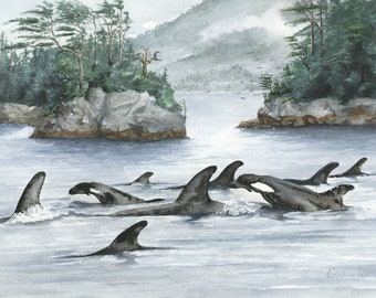 Broughton Archipelago Orcas: Print of Original Watercolor Painting, Ocean Animals, Sea life, Orca, Outdoors, Orcas, Nursery, Whale, Trees.