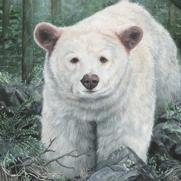 Princess Royal Island Spirit Bear: Print of Original Watercolor Painting, Forest, Spirit Bear, Nursery, Trees, Kermode, Canada, B.C.