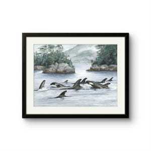 Broughton Archipelago Orcas: Print of Original Watercolor Painting.