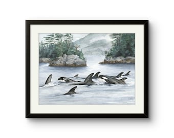 Broughton Archipelago Orcas: Print of Original Watercolor Painting.