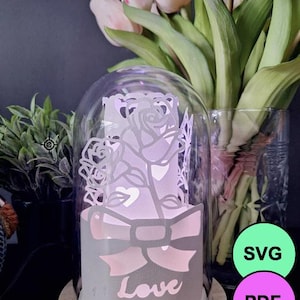 lanterne papier roses