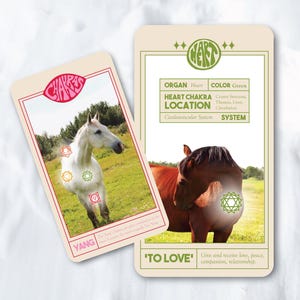 Cartes chakra équin ! (Lot de 11 cartes) Chaque carte détaille un seul chakra avec les connexions du corps et de l'esprit associées. CONCEPTION mise à jour