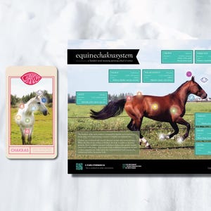 Ensemble de chakras équins. Il s'agit d'un lot de 1 affiche et 11 cartes. Il détaille l'ensemble du système de chakras du cheval. #equinebodywork CONCEPTION mise à jour