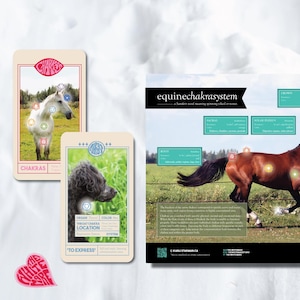 Ensemble de chakras équin et canin. Ceci est un lot de 1 affiche, 11 cartes équines et 11 cartes canines.  #equinebodywork #caninebodywork Mise à jour du DESIGN