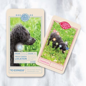 Cartes de chakra canin ! (Lot de 11 cartes) Chaque carte détaille un seul chakra avec les connexions du corps et de l'esprit associées. CONCEPTION mise à jour