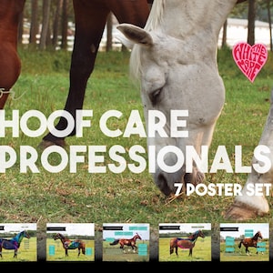 For Equine Hoof Care Professionals! 7 Poster Set. 50% SAVING! Imagine easily and professionally showing clients the anatomy of their horses.