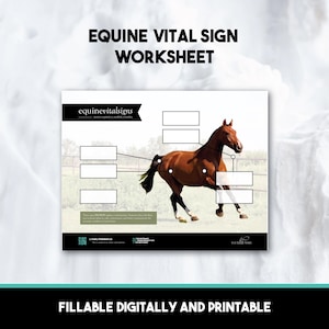 Fillable Equine Vital Sign Chart Digital & Printable Worksheet for Veterinary Study Aid, Horse Bodyworker and Equestrian Barn Education tool