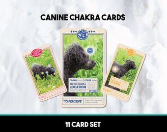 Canine Chakra Cards: Dog Anatomy, Mind & Body Connections (Set of 11)