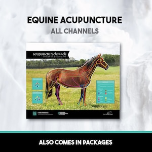 May include: A poster with the text "EQUINE ACUPUNCTURE ALL CHANNELS" and "ALSO COMES IN PACKAGES". The poster features a brown horse with acupuncture points and channels overlaid. The background is a field.