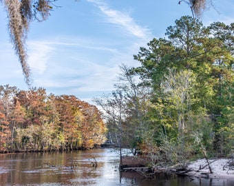 Conway, SC Riverwalk View Waccamaw River Fall Colors Photo Art