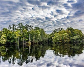 Conway SC Waccamaw River: White Puffy Cloud Reflections Print