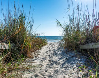 Photo Art Home Office Decor Coastal South Carolina Scenes Pawleys Island Beach Walkway Print