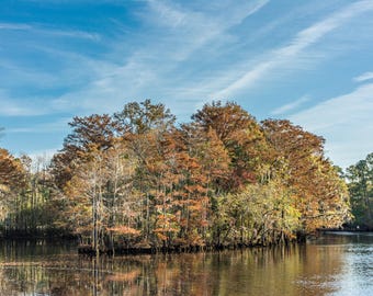 Conway SC: Waccamaw River Autumn Foliage Print